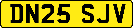 DN25SJV