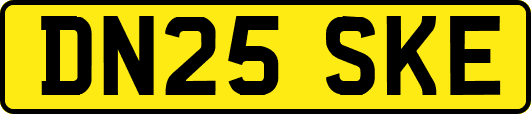 DN25SKE