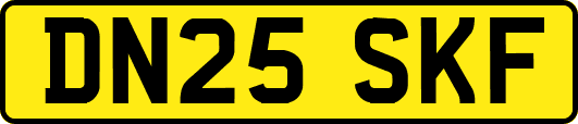 DN25SKF