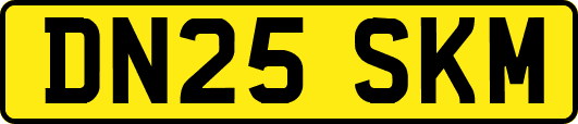 DN25SKM