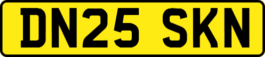 DN25SKN