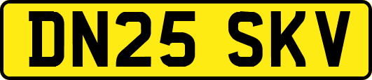 DN25SKV