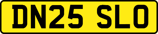 DN25SLO