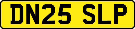 DN25SLP