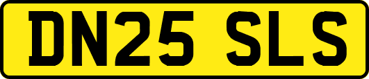 DN25SLS