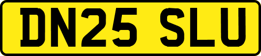DN25SLU