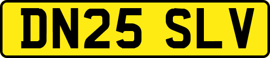 DN25SLV