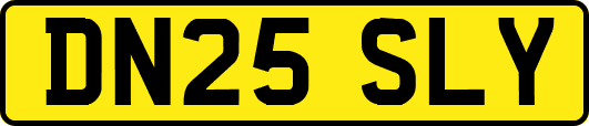 DN25SLY