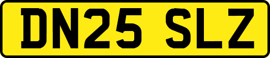 DN25SLZ