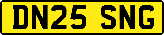 DN25SNG