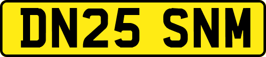 DN25SNM