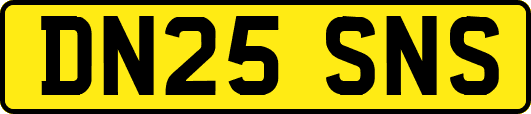DN25SNS