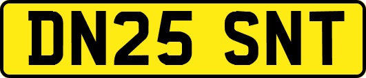 DN25SNT