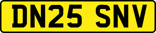 DN25SNV