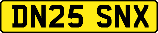 DN25SNX