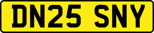 DN25SNY