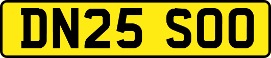 DN25SOO