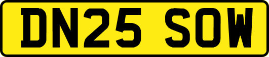 DN25SOW