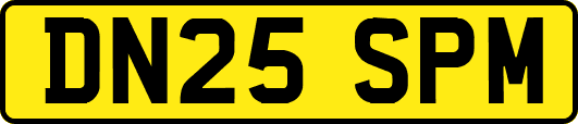 DN25SPM