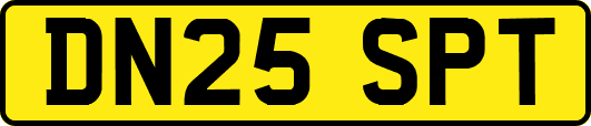DN25SPT