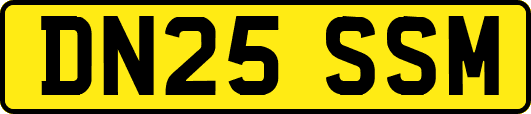DN25SSM