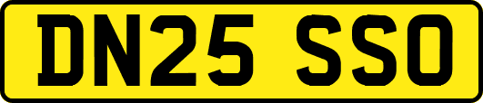 DN25SSO