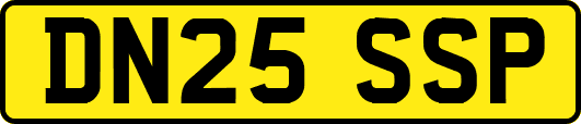DN25SSP