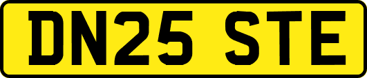 DN25STE