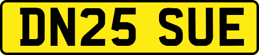 DN25SUE