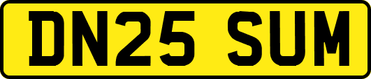 DN25SUM