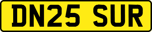 DN25SUR