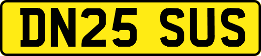DN25SUS