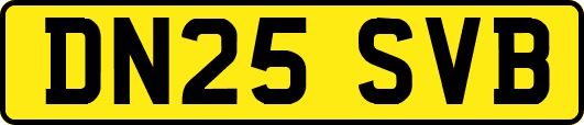 DN25SVB