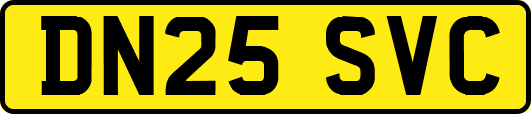 DN25SVC