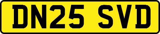 DN25SVD