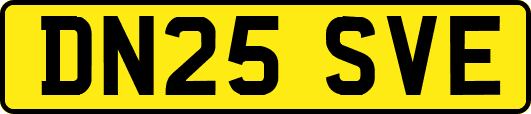 DN25SVE