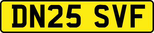 DN25SVF