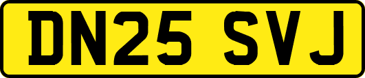 DN25SVJ