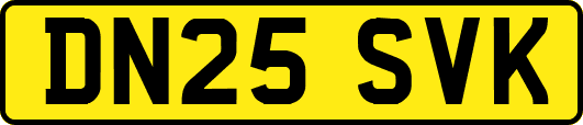 DN25SVK