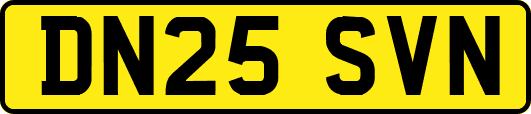 DN25SVN