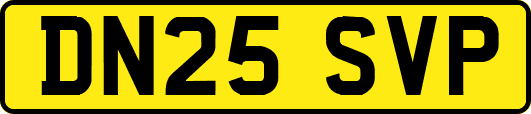 DN25SVP