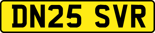 DN25SVR