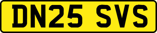 DN25SVS