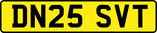 DN25SVT