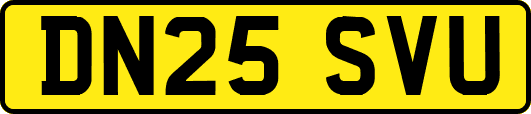 DN25SVU