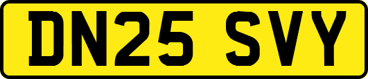 DN25SVY