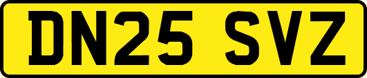 DN25SVZ