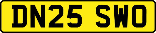 DN25SWO