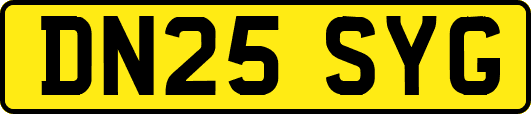 DN25SYG