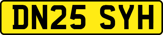 DN25SYH
